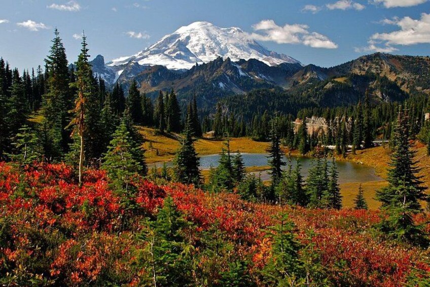 Rainier Autumn 5