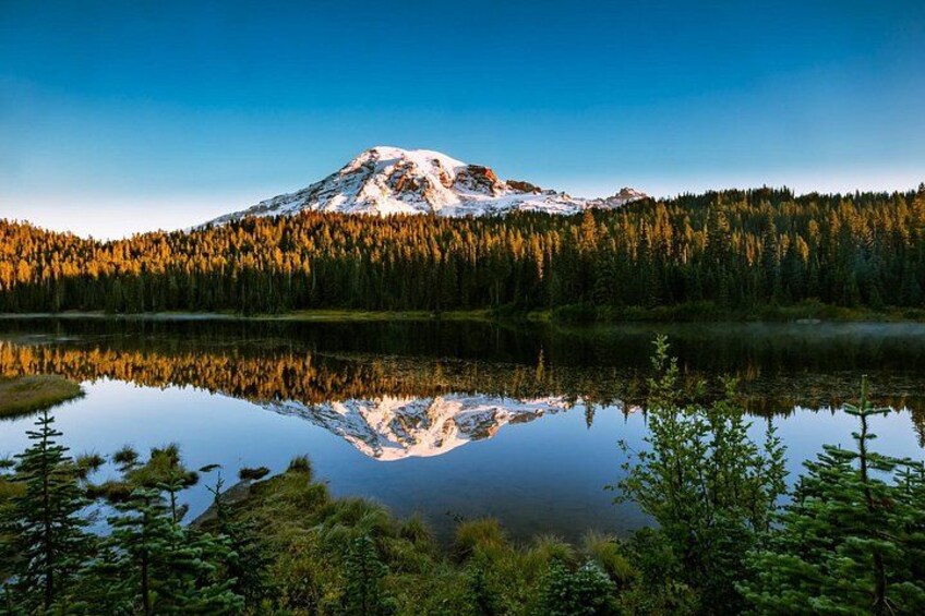 Rainier Lake Rainier 3