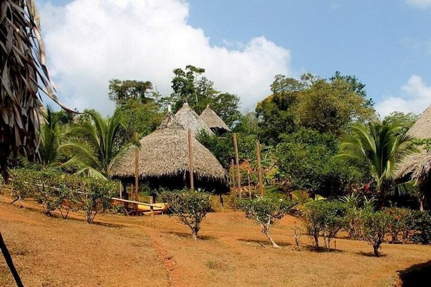 Private 6 hour Tour to Embera Community and Chagres Panama Native 2