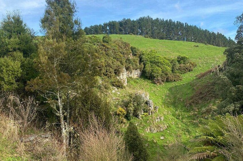 From Auckland: Spellbound, Waitomo Glowworm Cave Small Group Tour 3