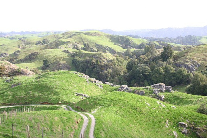 Des collines verdoyantes et ondulantes, un sentier sinueux et des moutons épars. 3