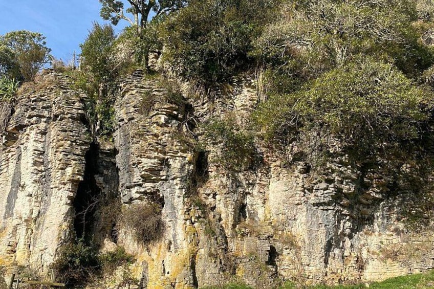 Une falaise rocheuse aux formations géologiques stratifiées et à la végétation clairsemée. 5