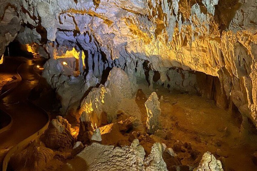 From Auckland: Spellbound, Waitomo Glowworm Cave Small Group Tour 3