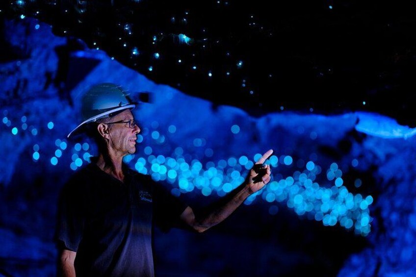 From Auckland: Spellbound, Waitomo Glowworm Cave Small Group Tour 4