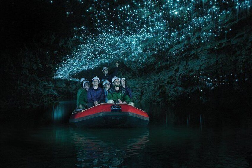 From Auckland: Spellbound, Waitomo Glowworm Cave Small Group Tour 2