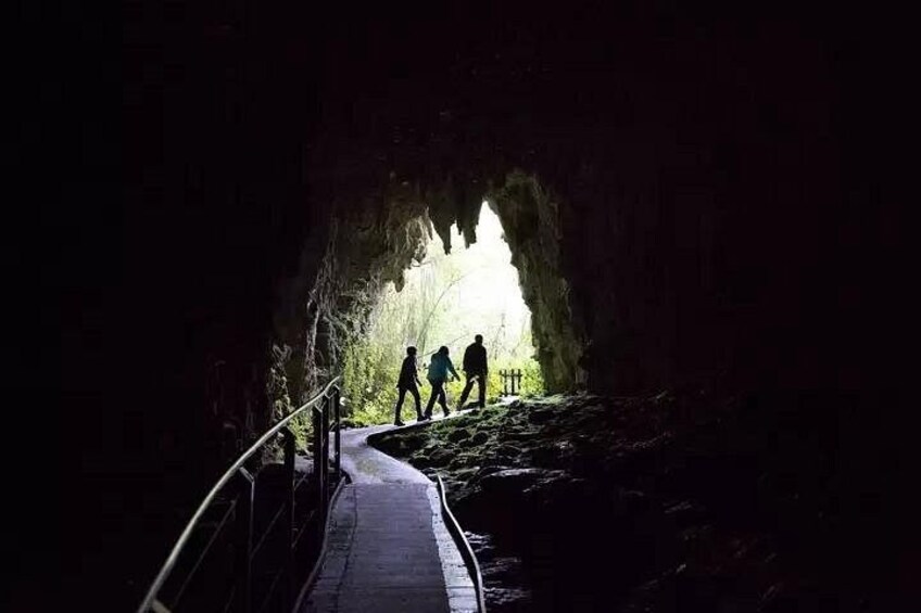 From Auckland: Spellbound, Waitomo Glowworm Cave Small Group Tour 2