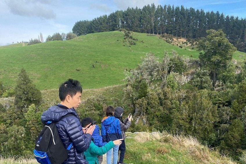 From Auckland: Spellbound, Waitomo Glowworm Cave Small Group Tour 2