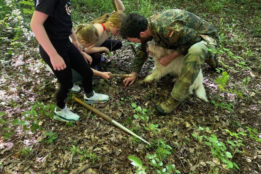 En person i kamuflagemønstret uniform arbejder med en hund i et skovområde. 1