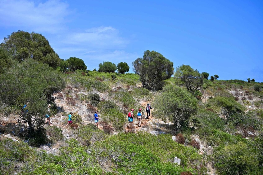 Picture 28 for Activity Mallorca: Cala Varques Kayak, Sea Caves & Snorkeling Tour 5
