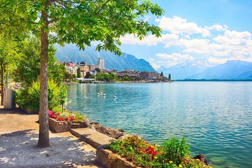 Private Excursion to Swiss Riviera 3