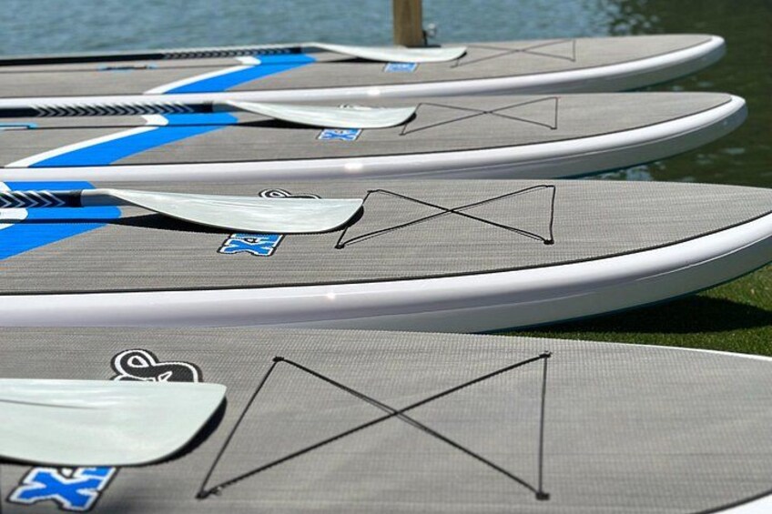 Paddles included in the rental 4