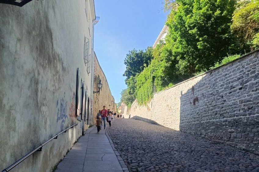 Old Tallinn Highlights & its Medieval Past 5