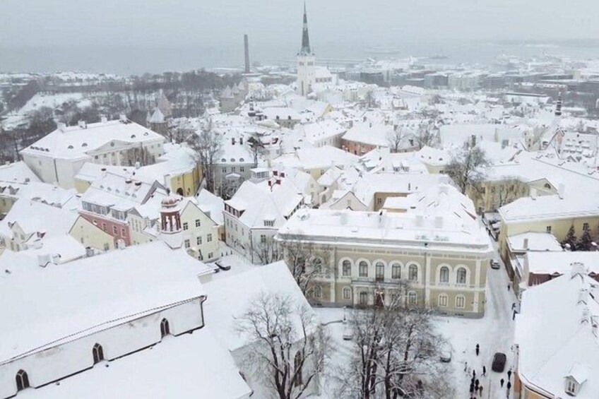 Old Tallinn Highlights & its Medieval Past 3