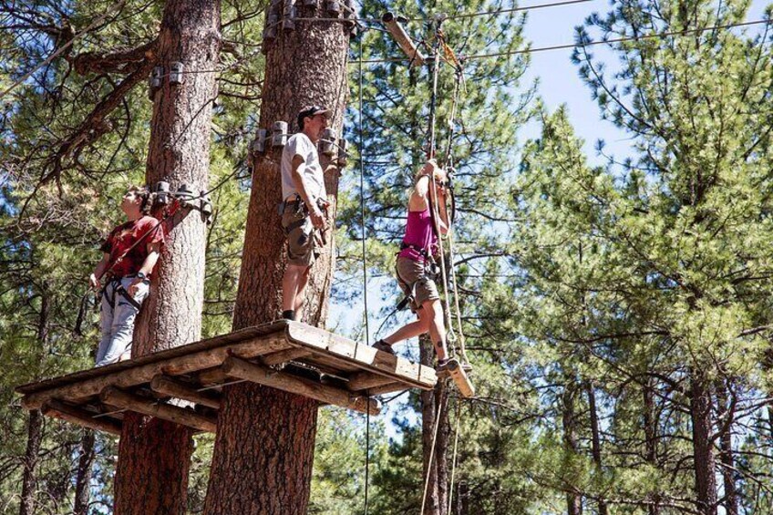 Ledgewood Adventure Course 4