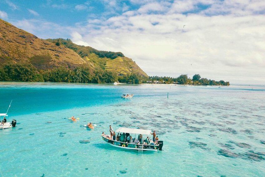 Lagoon Tour - Discover the magnificent lagoon of Moorea 5