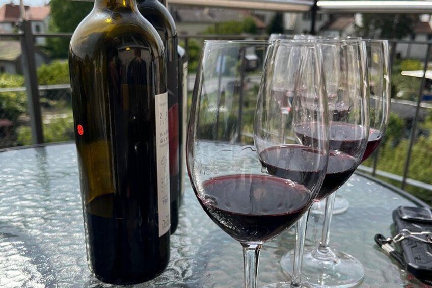 Gourmet Food and Wine Tasting Walk in Lavaux 2