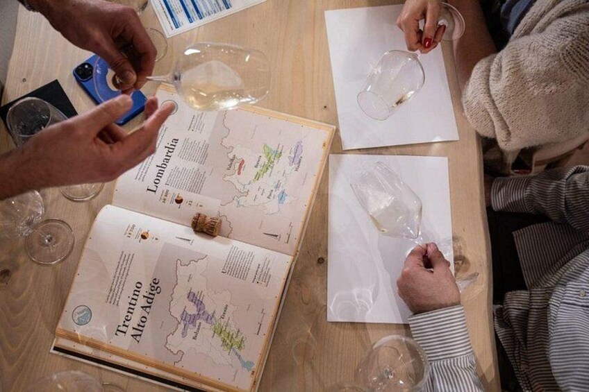Explore the Depth of Color: An image that captures the richness and variation of the wine's colors, anticipating a multi-sensory tasting experience 2