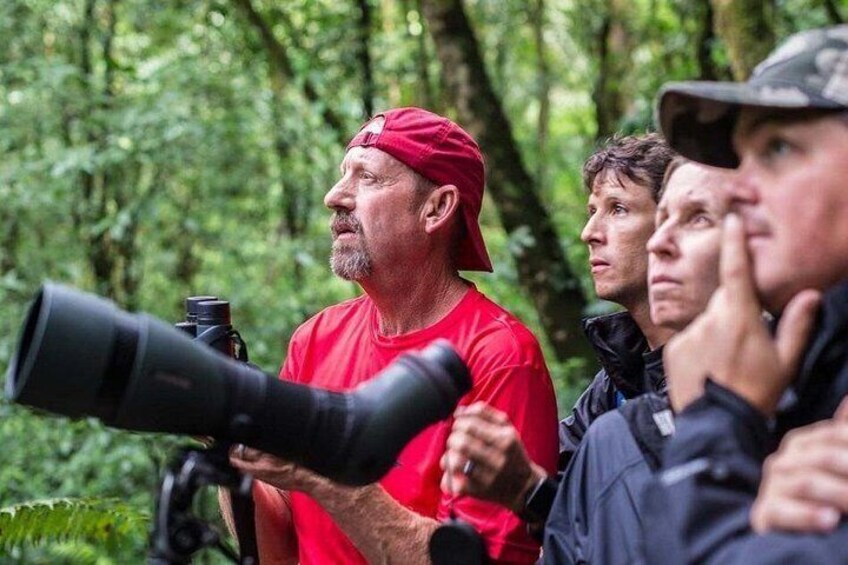 Birdwatching 5