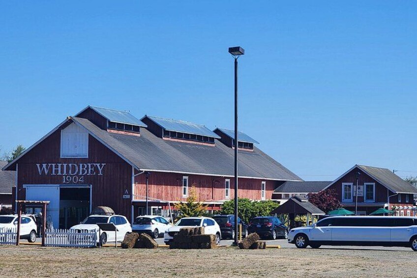 Private Wine Tour on Whidbey Island, WA 7hrs 4