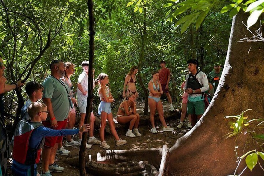 La Leona Waterfall Adventure Hike & Hidden Cave Experience 5
