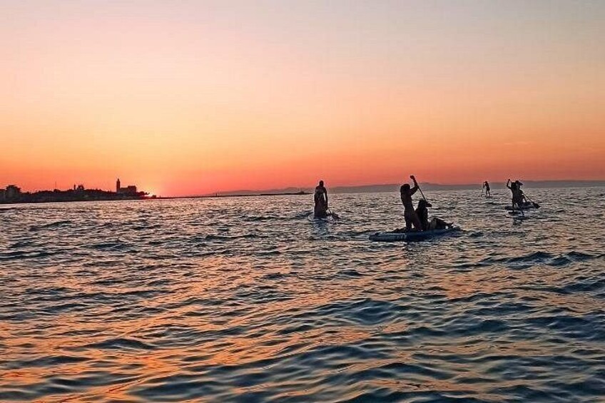 One and a half hour excursion on SUP in Trani 5