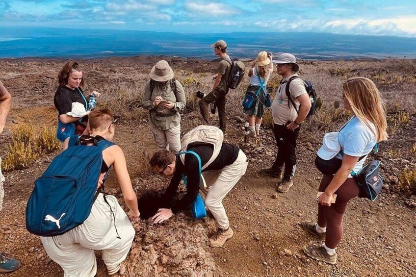 Sierra Negra Volcano Galapagos Horseback Riding & Hiking 4