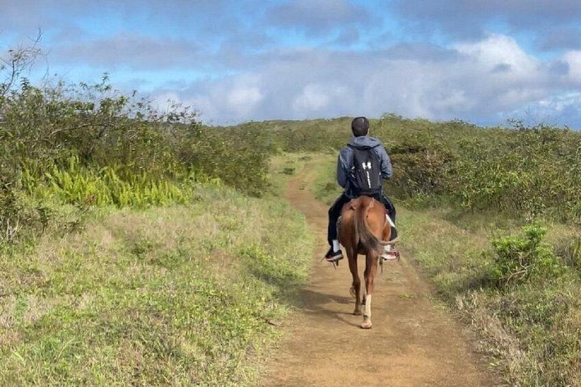 Sierra Negra Volcano Galapagos Horseback Riding & Hiking 3