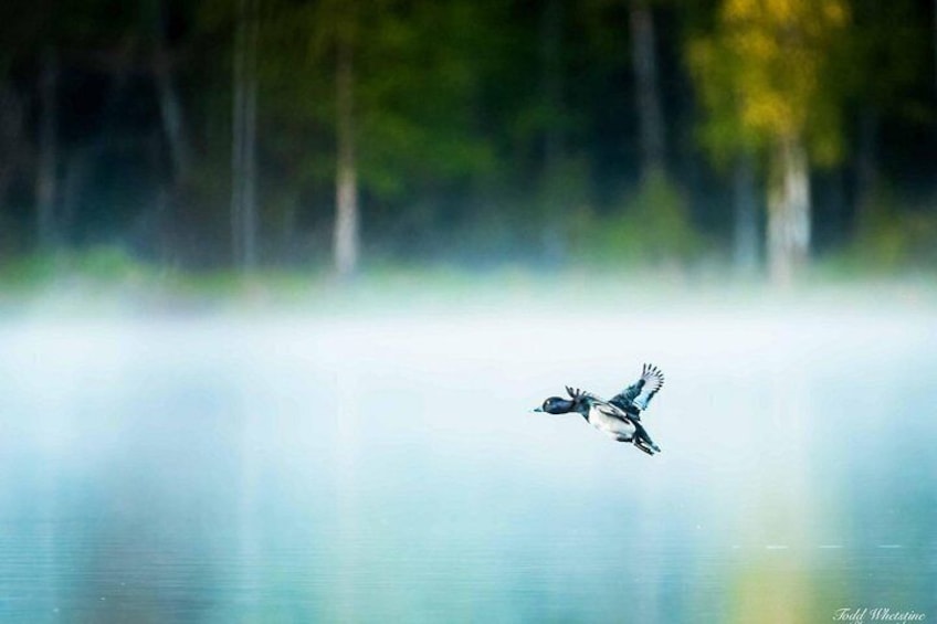 Fairbanks Private Photography Workshop 1