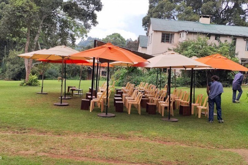 Kiambethu Tea Farm Tour From Nairobi 3