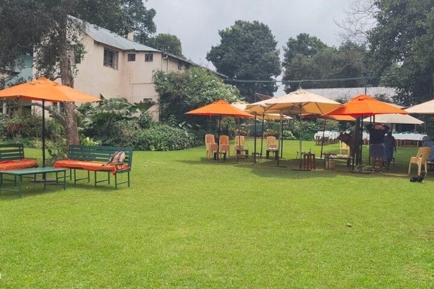 Kiambethu Tea Farm Tour From Nairobi 5