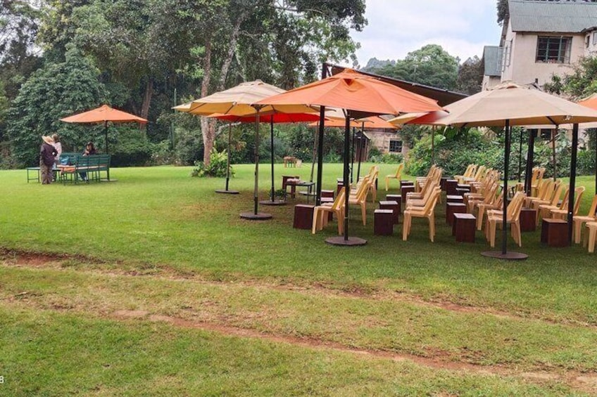 Kiambethu Tea Farm Tour From Nairobi 4