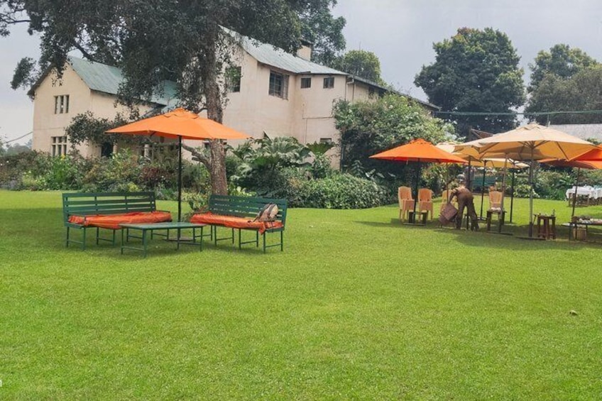 Kiambethu Tea Farm Tour From Nairobi 2