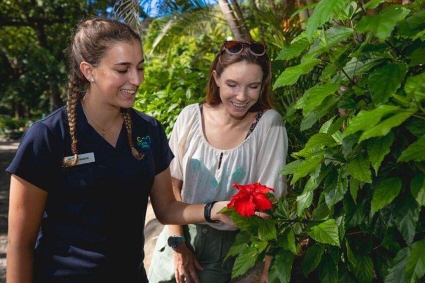 Deux personnes, dont l’une porte un uniforme, examinent une fleur rouge dans un environnement verdoyant et luxuriant. 3