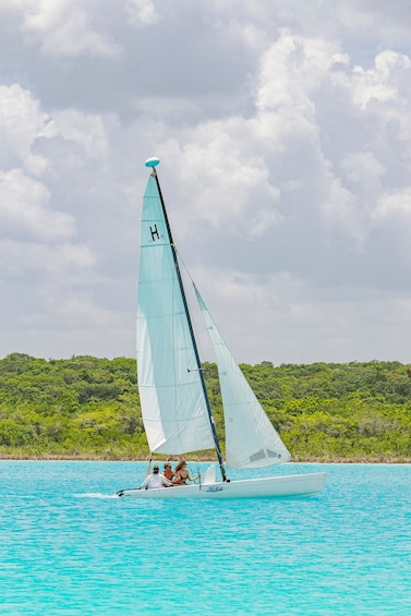 Picture 6 for Activity Bacalar: Catamaran Private Sailing between Mangroves 3