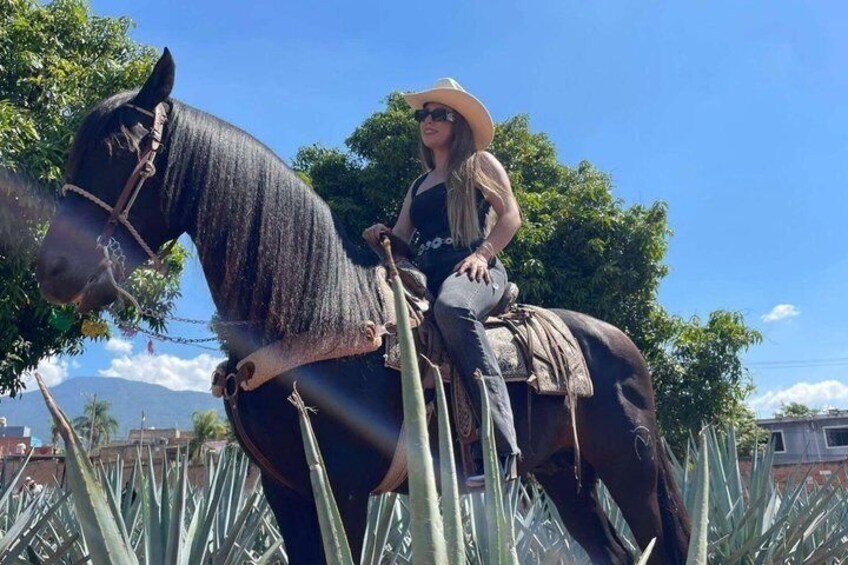 Guadalajara Tequila Tastings Tour 1