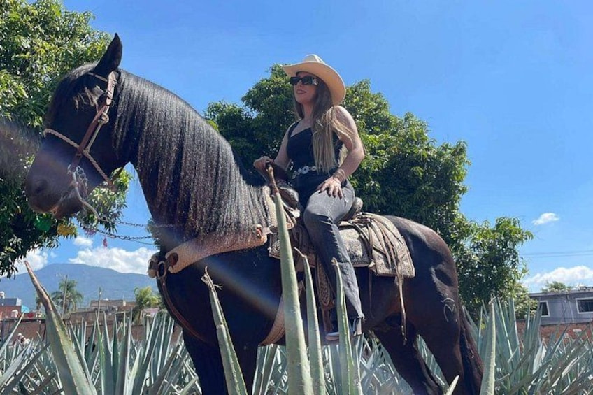 A person riding a horse in a field with tall plants and a clear sky. 1