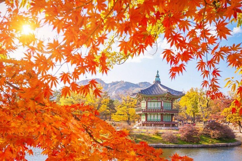 Small Group (7pax) Seoul Tour with Pickup/Dropoff (No Shopping) 3