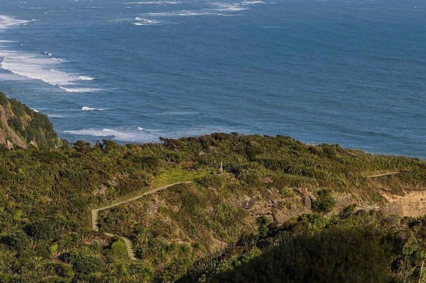 A coastal landscape with a winding path, dense vegetation, and the ocean in the background. 4