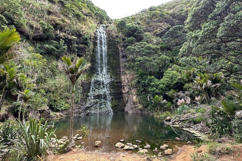A waterfall cascading into a lake surrounded by lush greenery and rocky terrain. 5