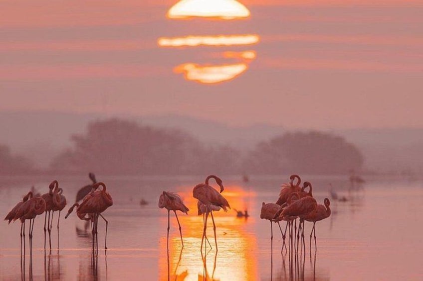 Romantic sunset tour in Río Lagartos, with food 2