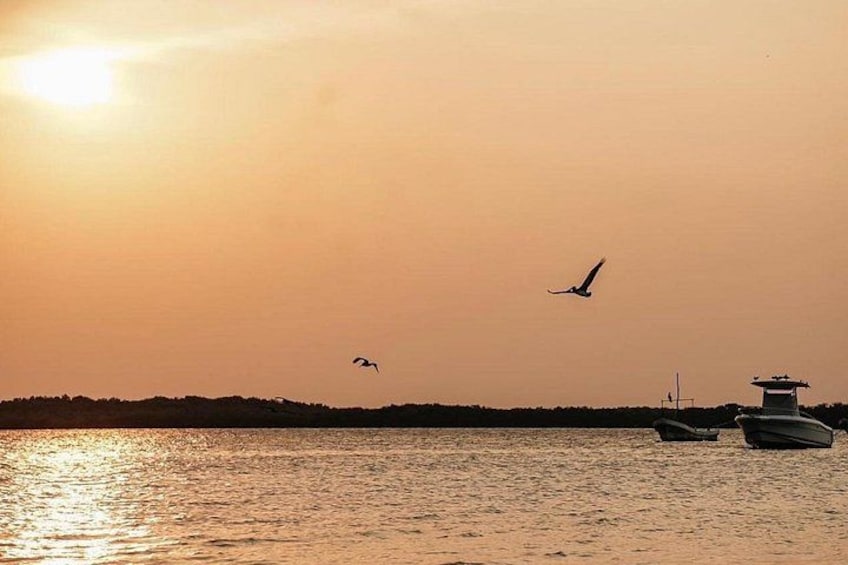 Romantic sunset tour in Río Lagartos, with food 4