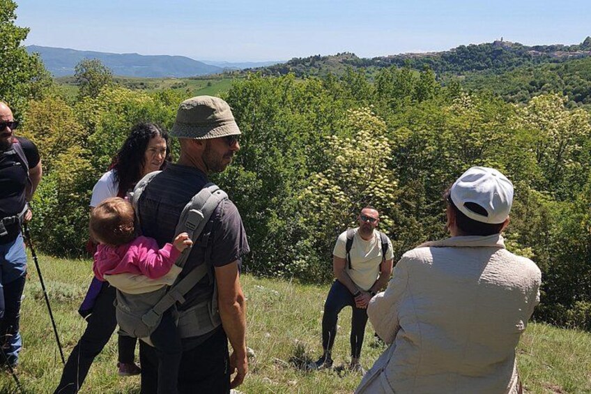 A group of people hiking in a grassy area with trees and hills in the background. 3