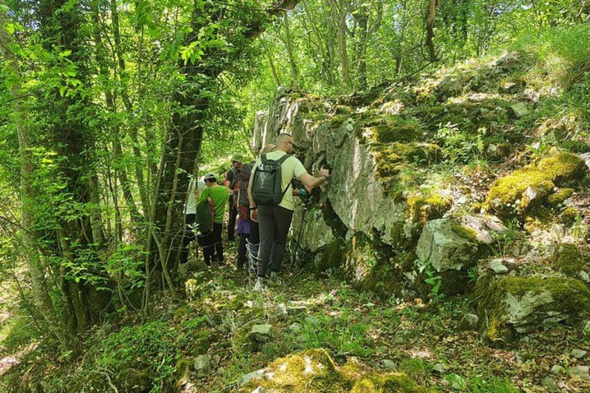 A group of hikers navigating a forested trail with dense vegetation and rocky terrain. 4