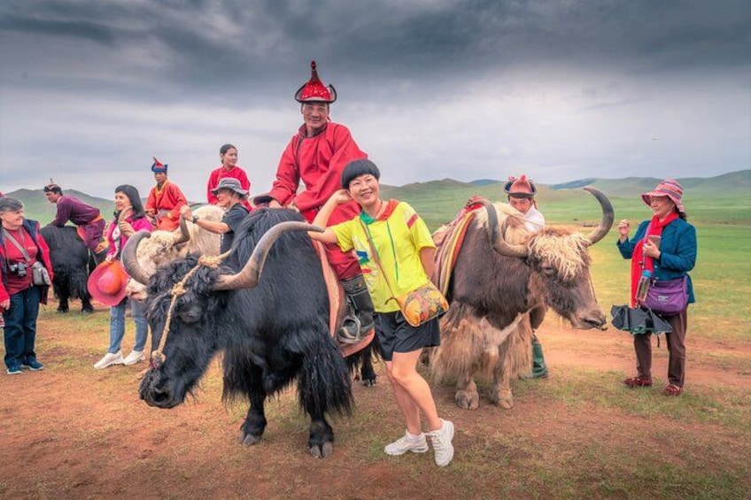 A group of people in a field with two large horned animals, possibly yaks, and a mountainous landscape in the background. 3