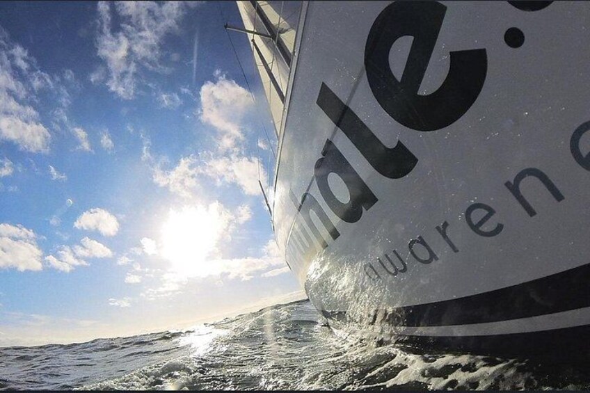 A sailboat with the text 'Indie' and 'awareness' on its side, sailing on the water. 4