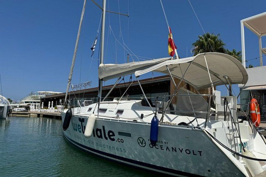 Small Group Dolphin Sunset Tour on Electric Sailing Boat Denia 3