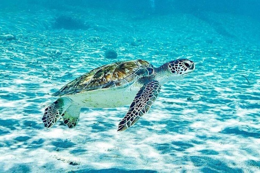 Playa Piskado 5