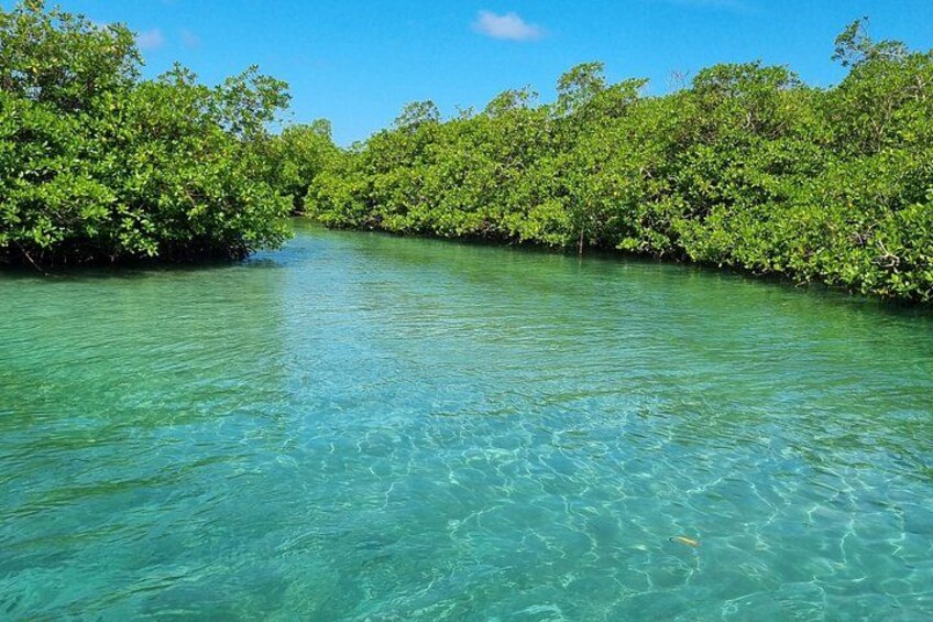 Portobelo History & Beach Private Tour in Colon Panama 3