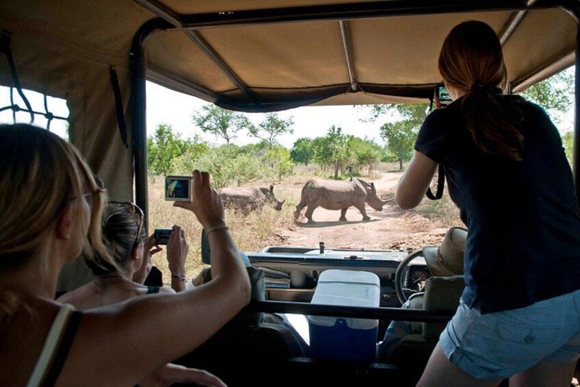 A vehicle interior with people taking photos of a rhinoceros outside. 4