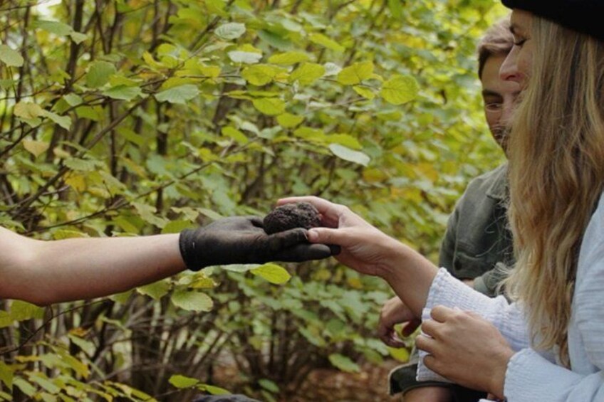 A person holding soil in their hand. 4